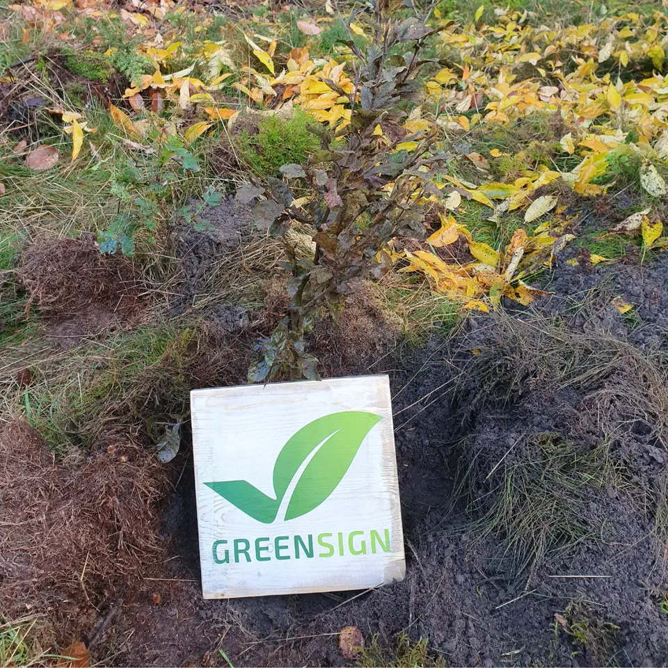 greensign-baumpaket-50-b-ume-umweltaktion-harz-aufforstung image 1