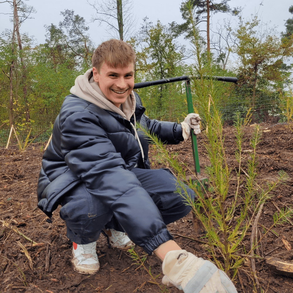 greensign-baumpaket-45-b-ume-baumspende-harz-aufforstung image 1